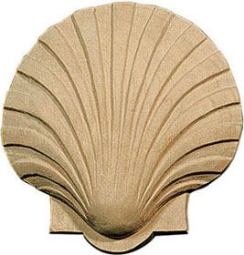 Shell Detail