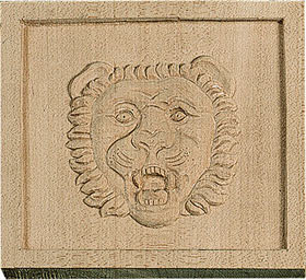 Square Lion Face Detail