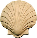 Shell Detail